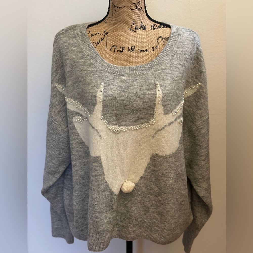 NWOT Reindeer Sweater